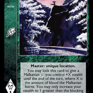 Forest of Shadows