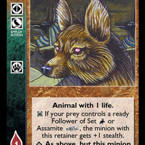 Jackal