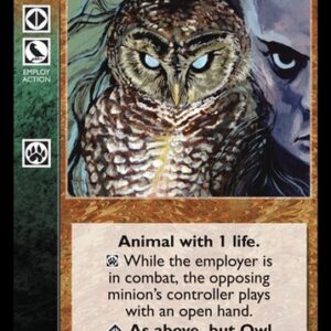 Owl Companion