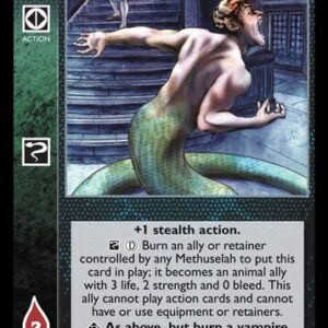 Set's Curse