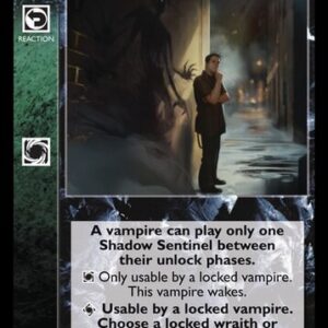 Shadow Sentinel