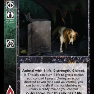 Underbridge Stray